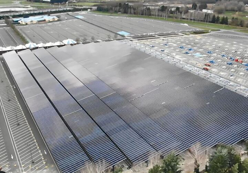 Disneyland Paris biến bãi đỗ xe thành “trang trại” điện mặt trời khổng lồ